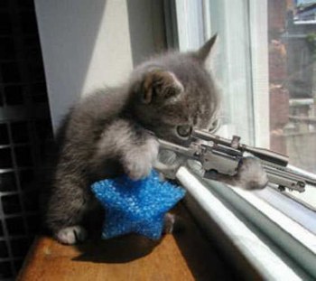 chat
